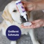 Anwendung der Canosept Augenpflege für Hunde mit Wattepad zur Reinigung der Augenpartie.