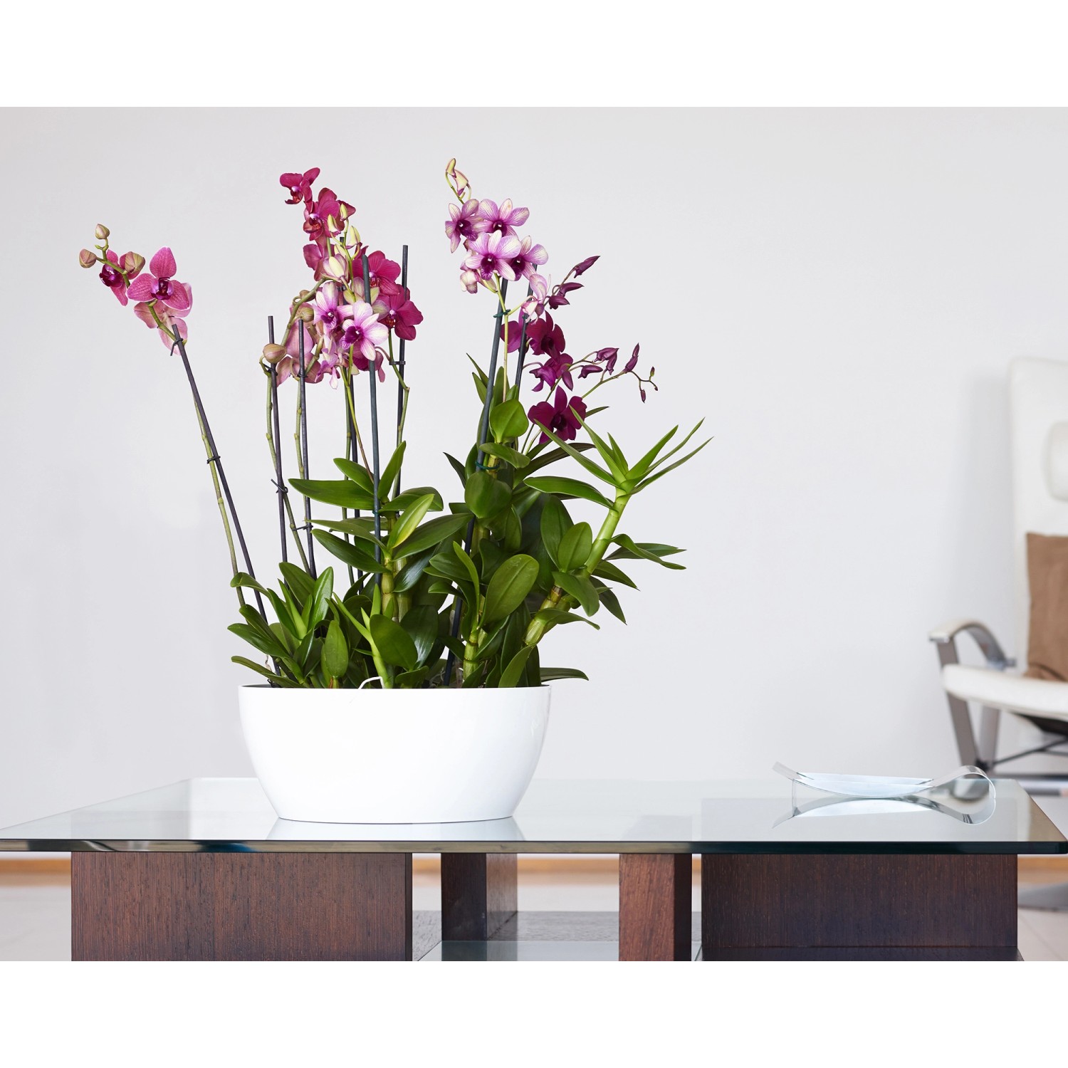 Weiße Artevasi San Remo Pflanzschale (Ø 23 cm) mit blühenden Orchideen auf einem Tisch.