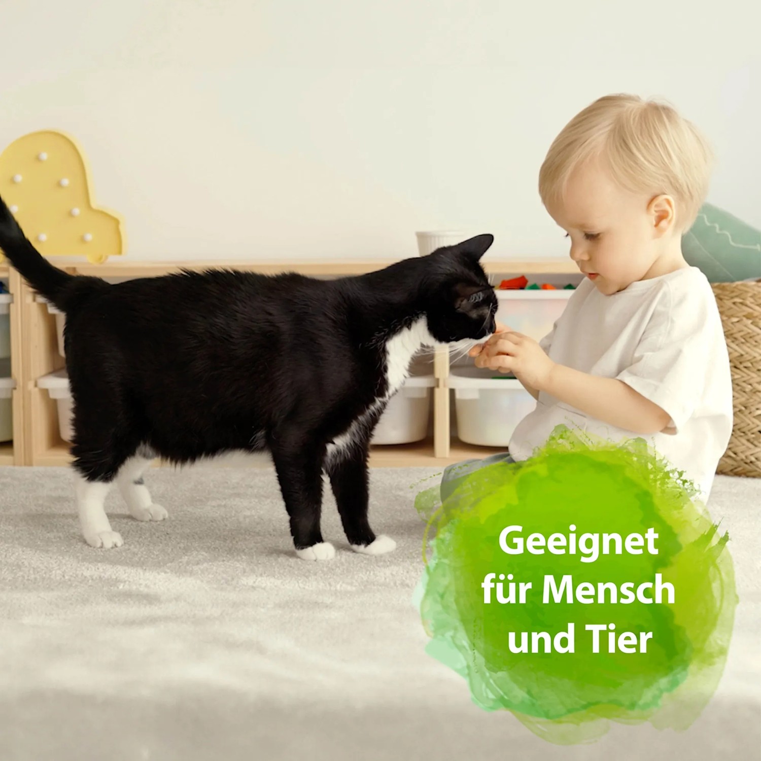 Kind füttert Katze. Bactador Geruchsentferner für Katzentoiletten im Einsatz.
