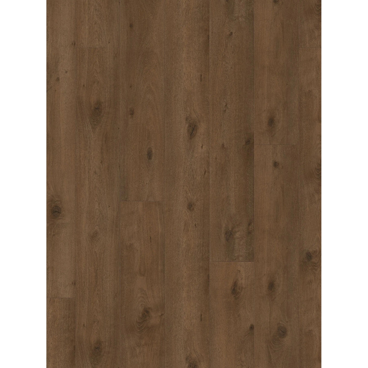 Parador Laminatbodenmuster Trendtime 6 Eiche Everglade Antik