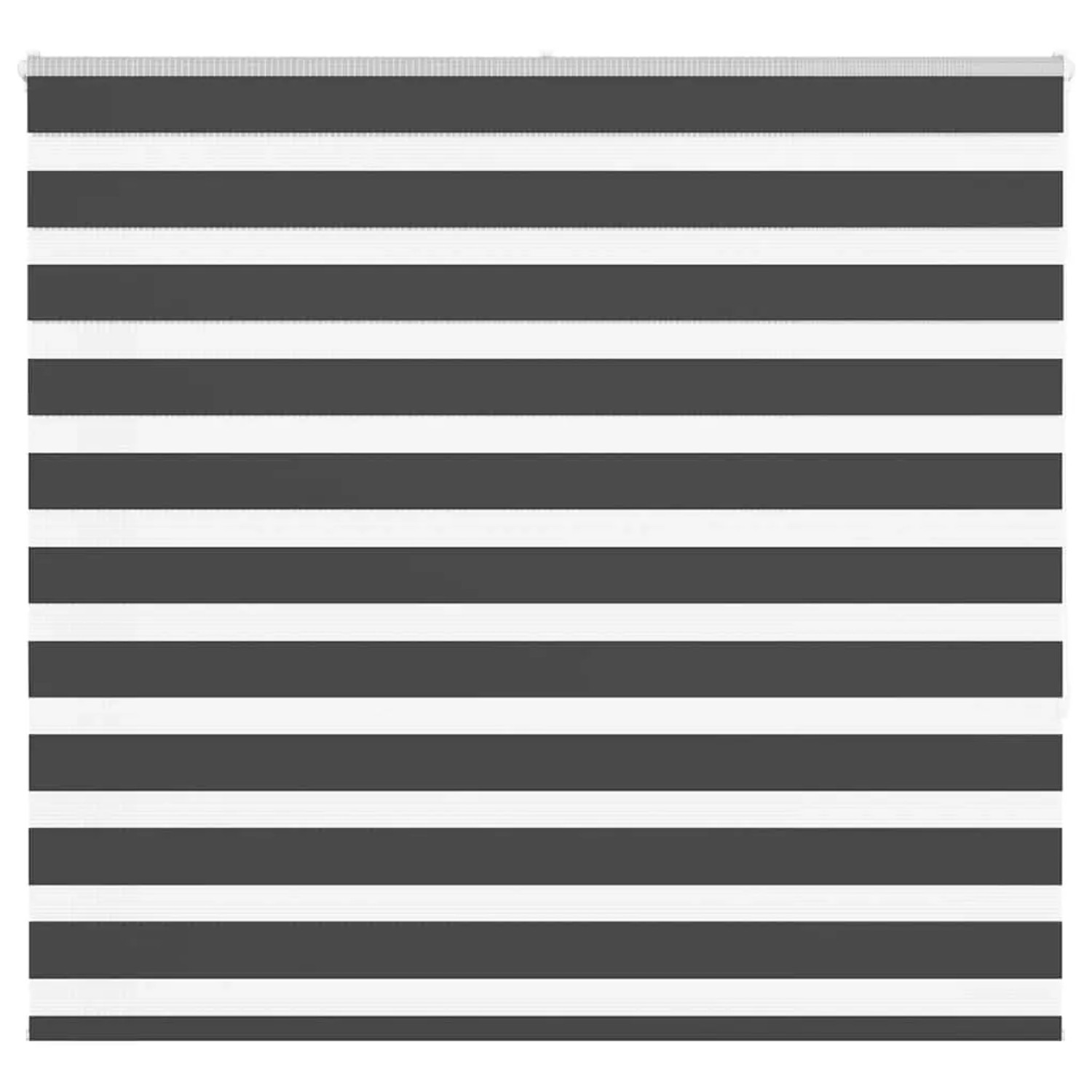 vidaXL Doppelrollo Schwarz 155x150 cm Stoffbreite 150,9 cm Polyester 401424 günstig online kaufen