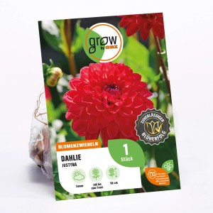 GROW by OBI Dahlie Justyna, lachsrosa Blüte, Höhe ca. 90cm, Blumenzwiebel.