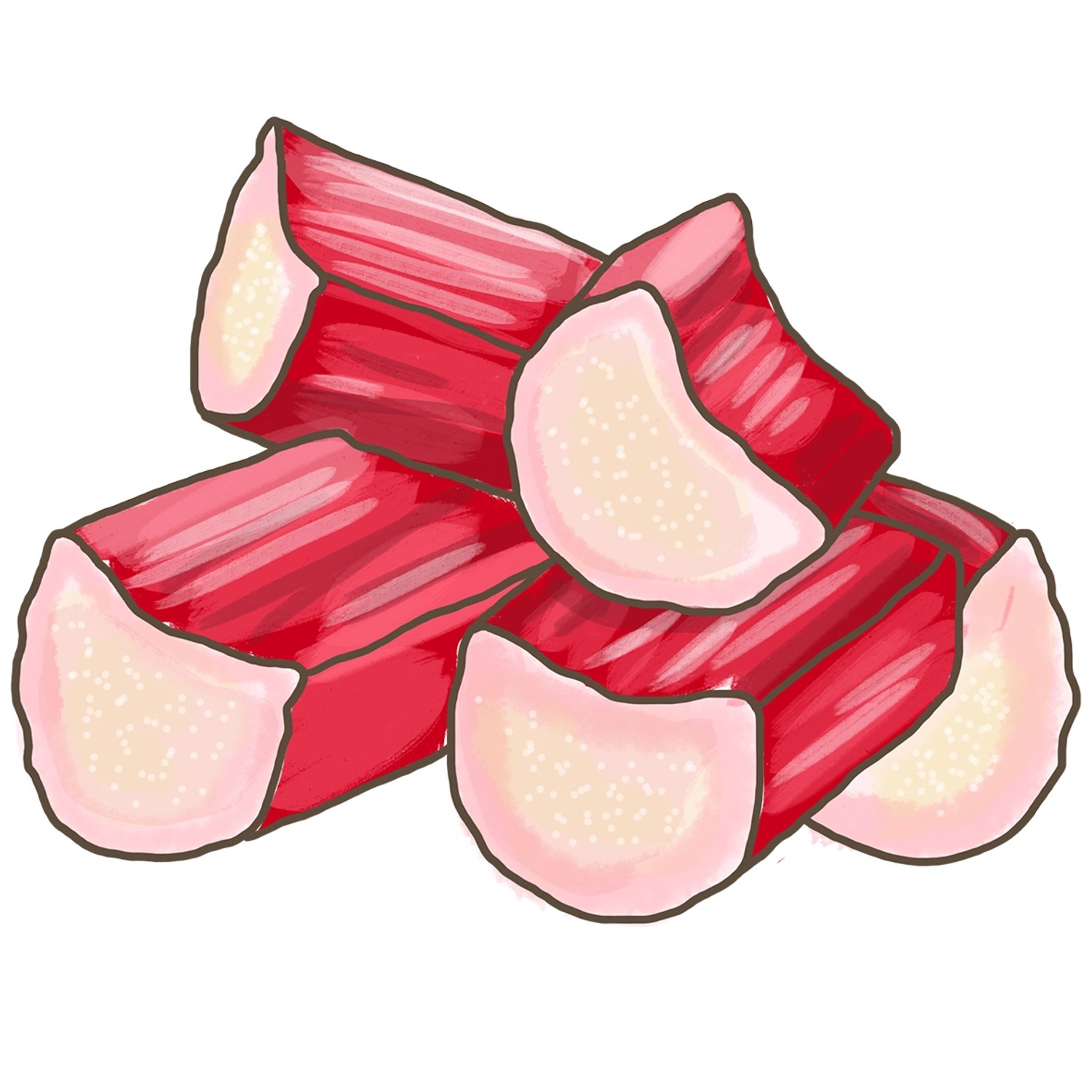 Illustration von geschnittenem, rotem Rhabarber. Ideal für Kompott und Kuchen.