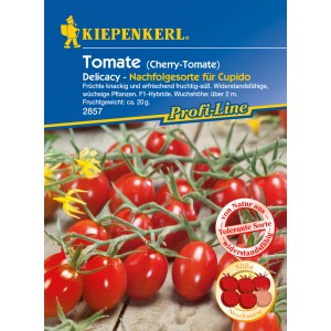 Kiepenkerl Cherry-Tomate Delicacy Samen: Rote, pflaumenförmige Tomaten an der Rispe.