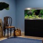 Oase Aquarium-Set HighLine Weißglas 200 Schwarz, 200 l, mit Unterschrank im Wohnraum.