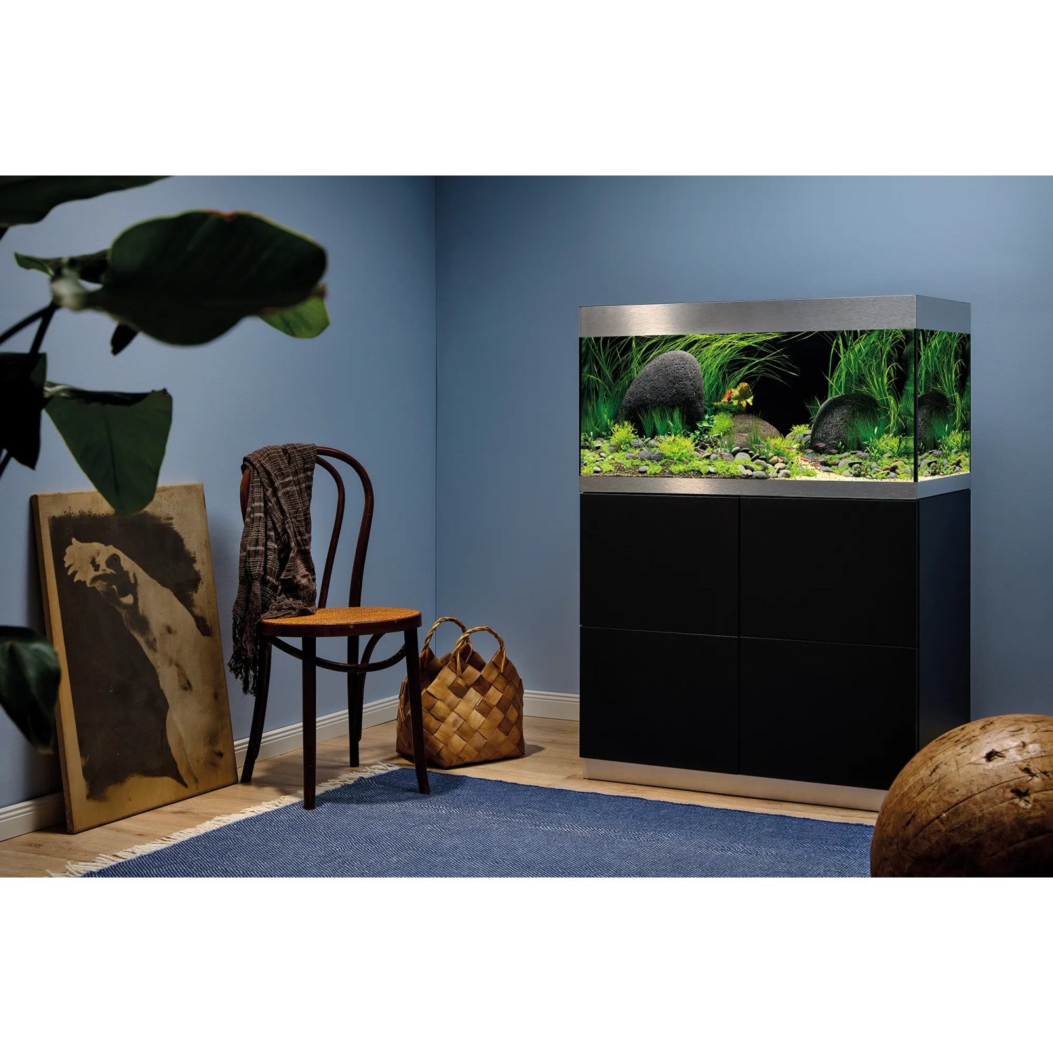 Oase Aquarium-Set HighLine Weißglas 200 Schwarz, 200 l, mit Unterschrank im Wohnraum.