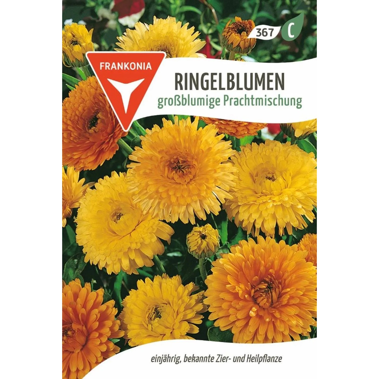 FRANKONIA Ringelblume Großblumige Prachtmischung günstig online kaufen