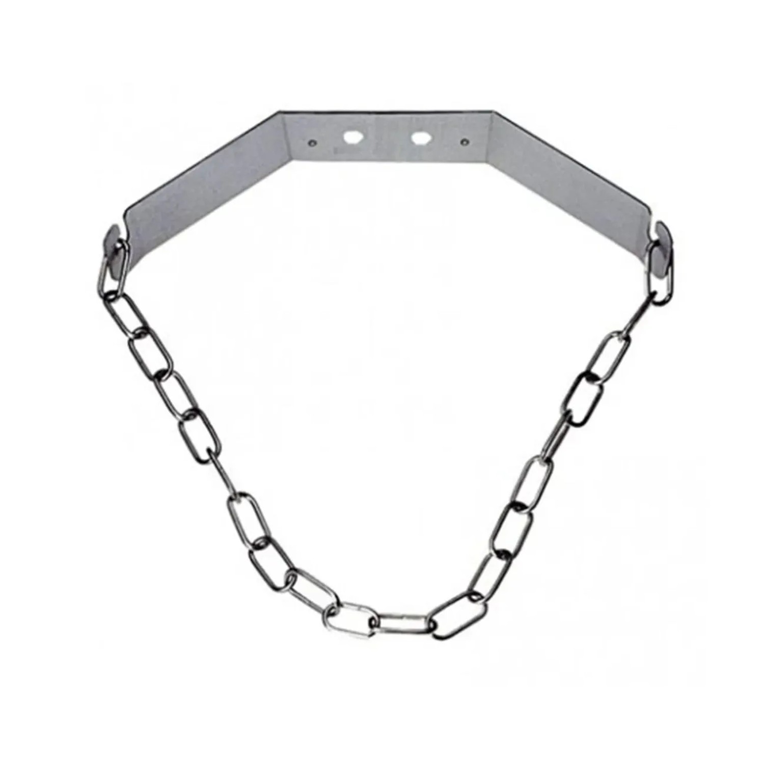 Ich-Zapfe Flaschenhalter Edelstahl für Kohlensäureflasche 2 kg Wandmontage Silber