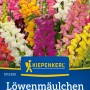 Kiepenkerl Löwenmäulchen Mischung mit bunten Blüten in verschiedenen Farben.