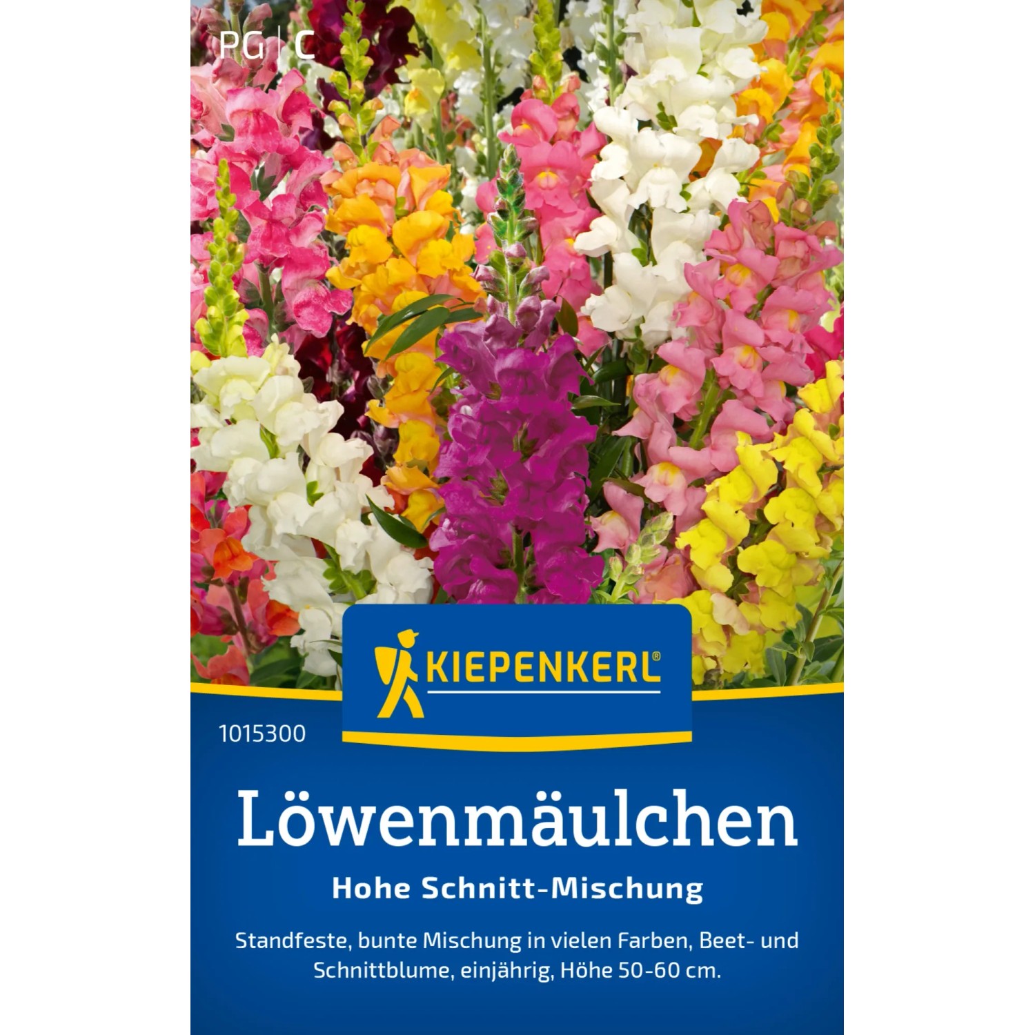 Kiepenkerl Löwenmäulchen Mischung mit bunten Blüten in verschiedenen Farben.