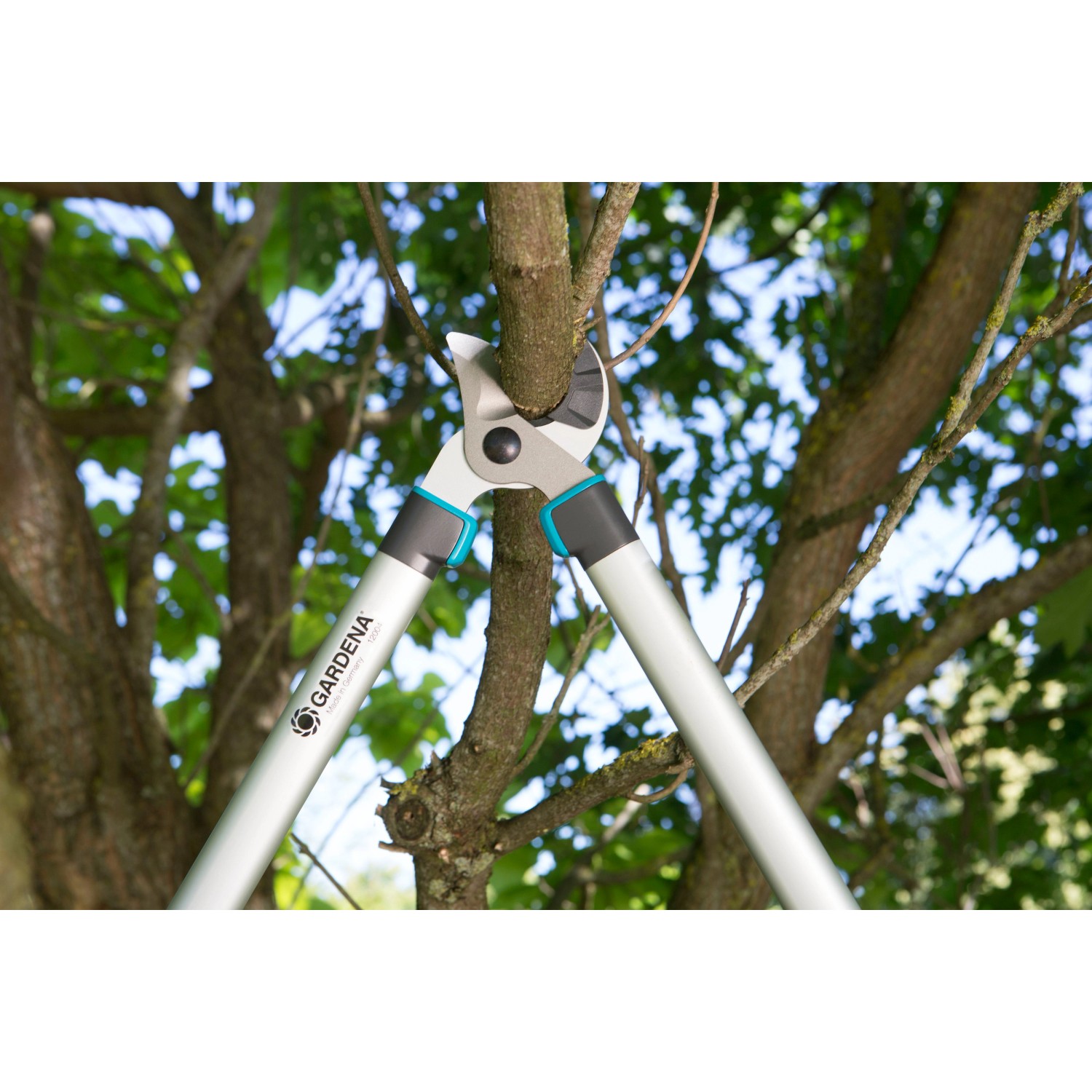 Gardena EasyCut 680 A Astschere beim Schneiden eines Astes. Amboss-Schneideprinzip, bis 40 mm Schnittstärke.