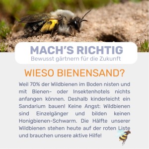 Weco Bienensand für ein Sandarium Spezialsubstrat 25 kg