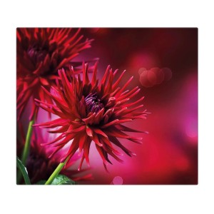 Banjado Herdabdeckplatte aus Glas mit roten Dahlien als Motiv.