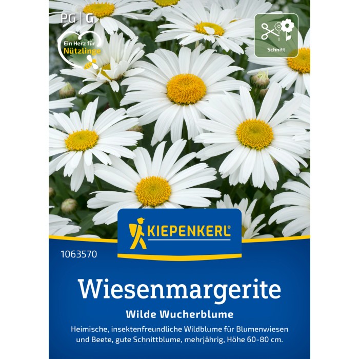 Margeriten kaufen bei OBI