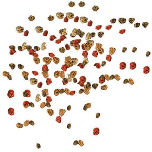 Tetra Min Granules Fischfutter, feinkörniges Granulat in rot und braun.