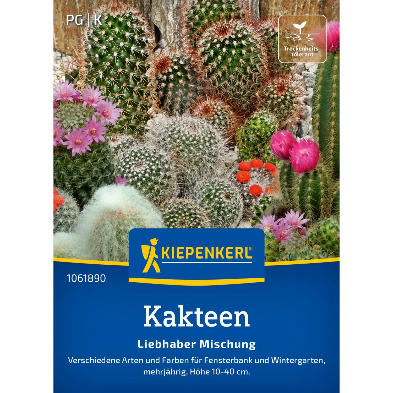 Kiepenkerl Kakteen Mischung mit verschiedenen Kakteenarten und bunten Blüten.