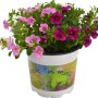 GROW by OBI Zauberglöckchen Trio im Topf mit rosa und pinkfarbenen Blüten.