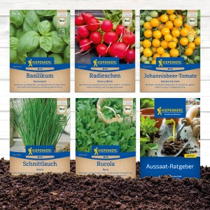 Gemüsesamen-Set mit Basilikum, Radieschen, Rucola, Schnittlauch, Zucchini und Aussaat-Ratgeber in BIO-Qualität.