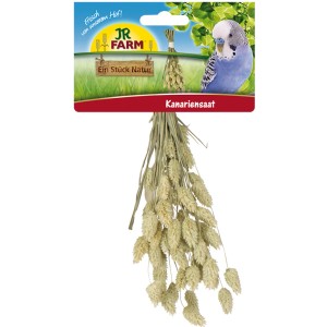 JR Farm Kanariensaat, naturbelassener Vogelsnack zur Beschäftigung für Kanarienvögel.