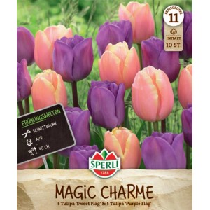 Sperli Blumenzwiebeln 'Magic Charme': Lavendel-lila und hellrosa Triumph-Tulpen.