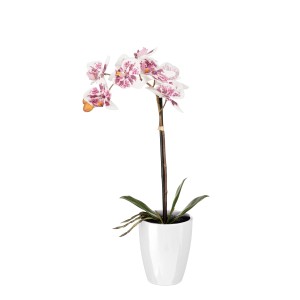Mica Kunstpflanze Phalaenopsis mit violetten Blüten im weißen Topf, 47cm hoch.