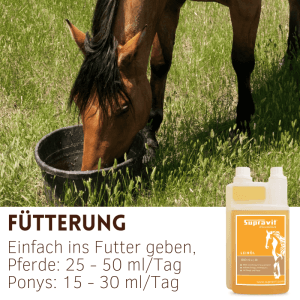 Supravit Leinöl Liquid für Pferde Ergänzungsfuttermittel