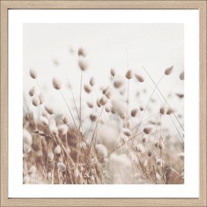 Pro Art Bild 'Dried Fiber In The Wind II', 50x50 cm, Natur-Optik im Rahmen