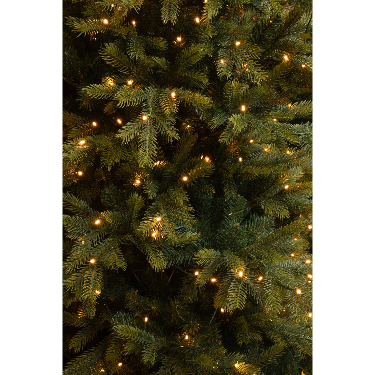 Detailaufnahme: Grüner LED-Weihnachtsbaum Grimshaw, 185 cm, mit warmweißen Lichtern.