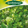 Samenpackung Quedlinburger Brunnenkresse mit grünen Blättern und kleinen weißen Blüten.