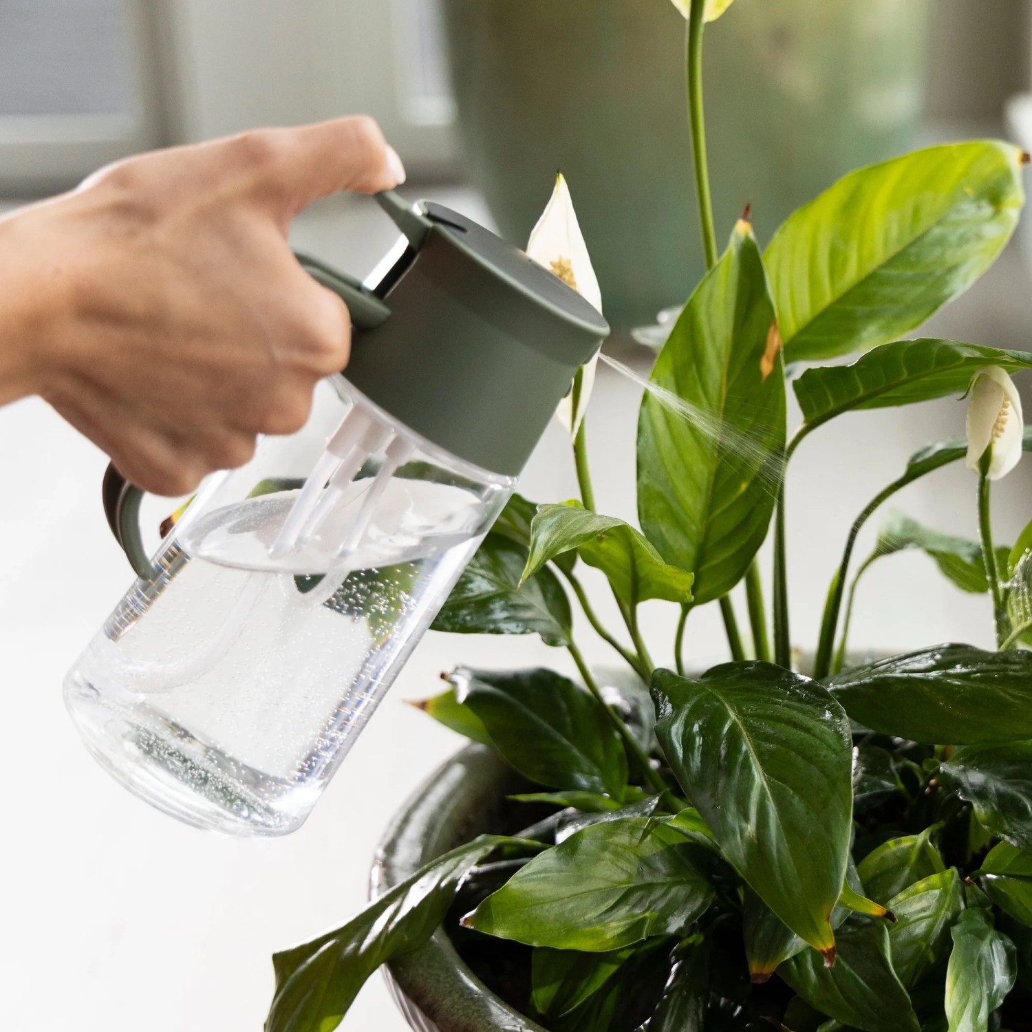 Fiskars Gießkanne aus Glas (0,5 l) in Grün mit Sprühfunktion beim Bewässern einer Pflanze.
