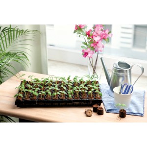 Romberg Kokos-Quelltabletten Tray mit jungen Pflanzen, Anzuchterde und Gießkanne.