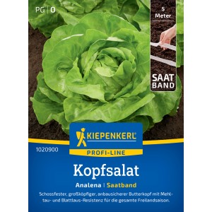 Kiepenkerl Kopfsalat Analena Saatband: Frischer, grüner Salat im Garten.