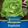 Kiepenkerl Kopfsalat Analena Saatband: Frischer, grüner Salat im Garten.