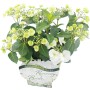 Girlanden-Hortensie Runaway Bride mit weißen Blüten im Topf.