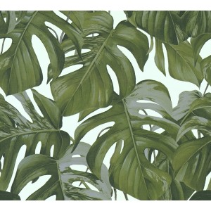 Michalsky Living Tapete mit grün-blauen Monstera Blättern.