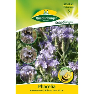 Quedlinburger Phacelia Bienenfreund Großpackung: Blumensamen für Gründüngung und Bienenweide.