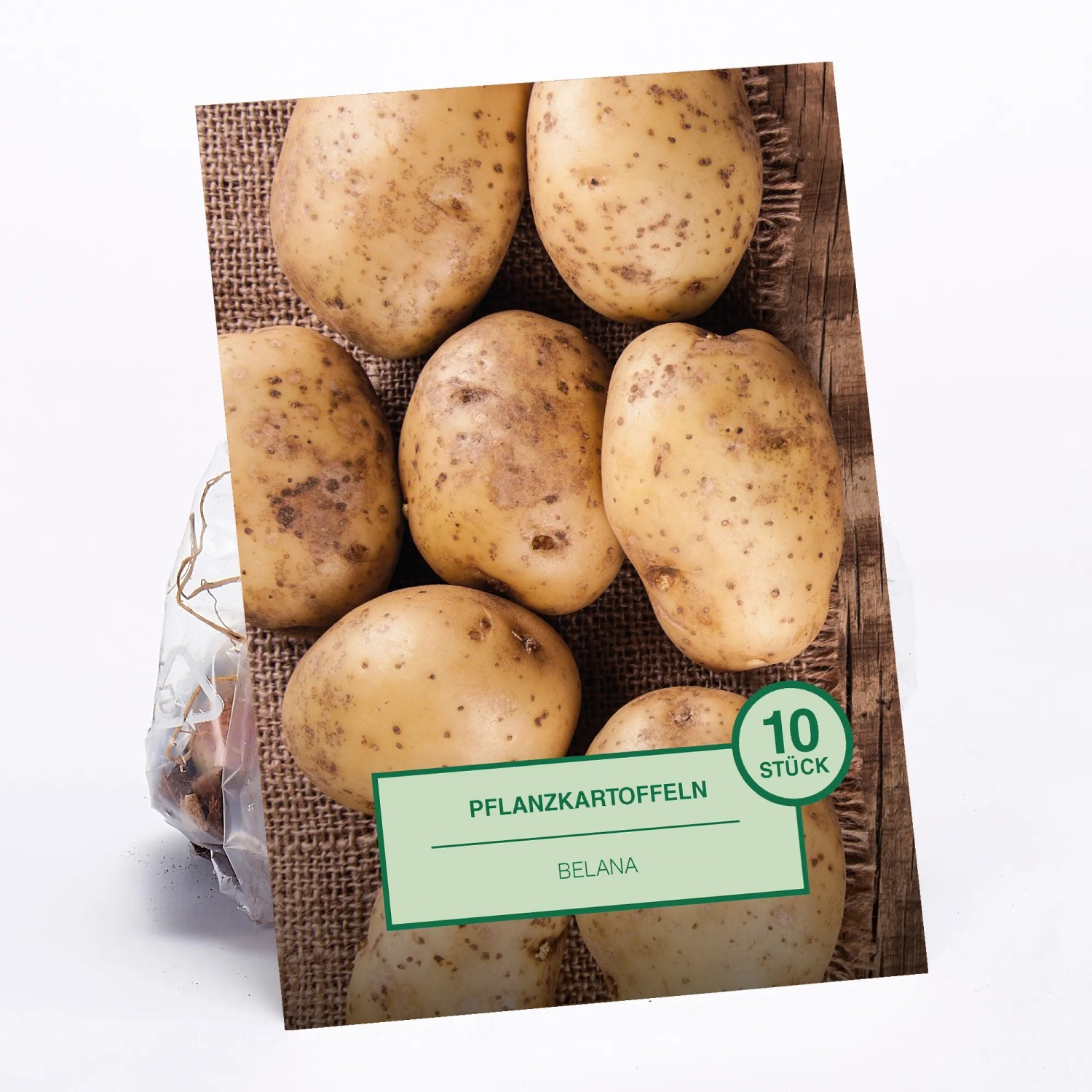 Pflanzkartoffeln Belana, 10 Stück, vor einem Jutesack und Holzhintergrund.