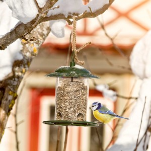 Kompaktes Vogelfuttersilo mit Meise im Winter, gefüllt mit Sonnenblumenkernen.