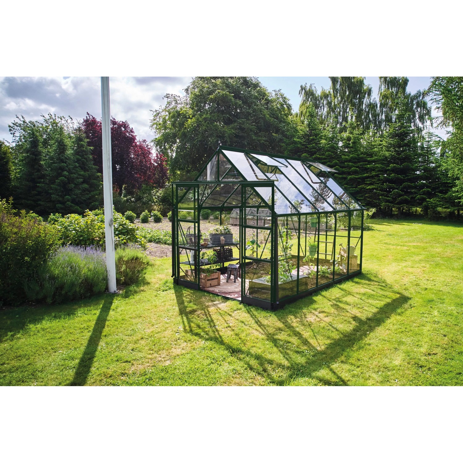 Halls Gewächshaus Icon 8 Grün 8,1 m² günstig online kaufen
