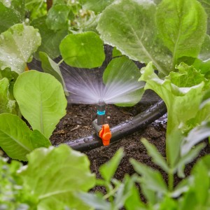 Gardena Regulierventil im Micro-Drip-System bewässert Pflanzen.