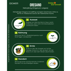 Infografik für Oregano Samen: Anbauanleitung mit Aussaat, Keimung, Ernte und Standort der Kräutersamen.