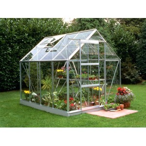 Halls Gewächshaus Popular 86 aus Alu, 5 m² mit Pflanzen und Fundamentrahmen.
