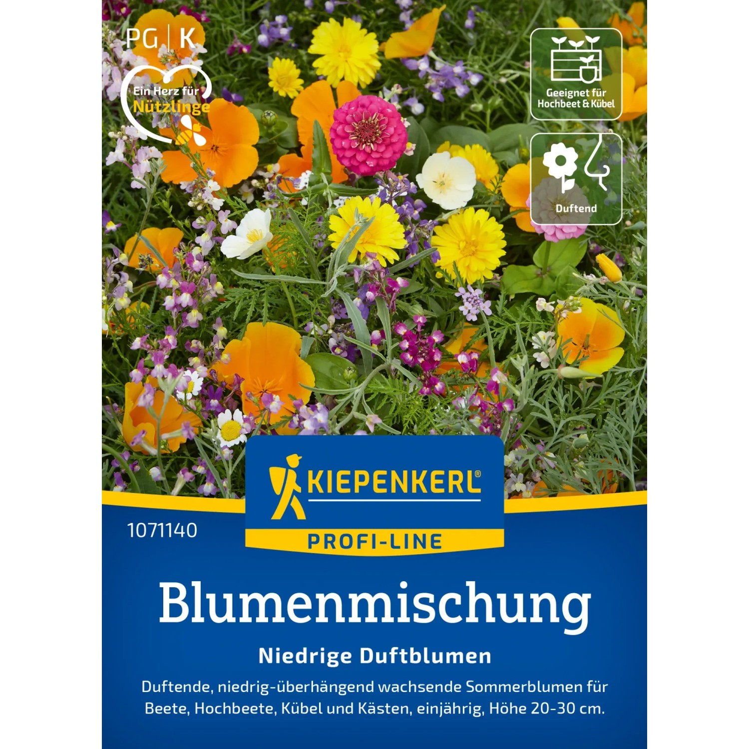 Duftblumenmischung Duftender Steingarten niedrig