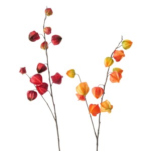 Boltze Home Deko-Zweig Physalis, 2-fach sortiert in Mehrfarbig, ideal als Geschenk.