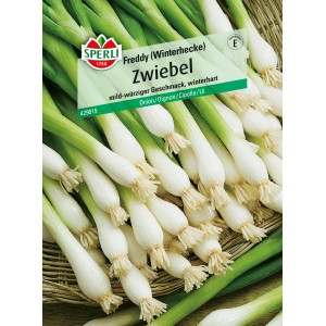 Sperli Zwiebeln Freddy: Winterharte Lauchzwiebel, Gemüsesamen für den Garten.