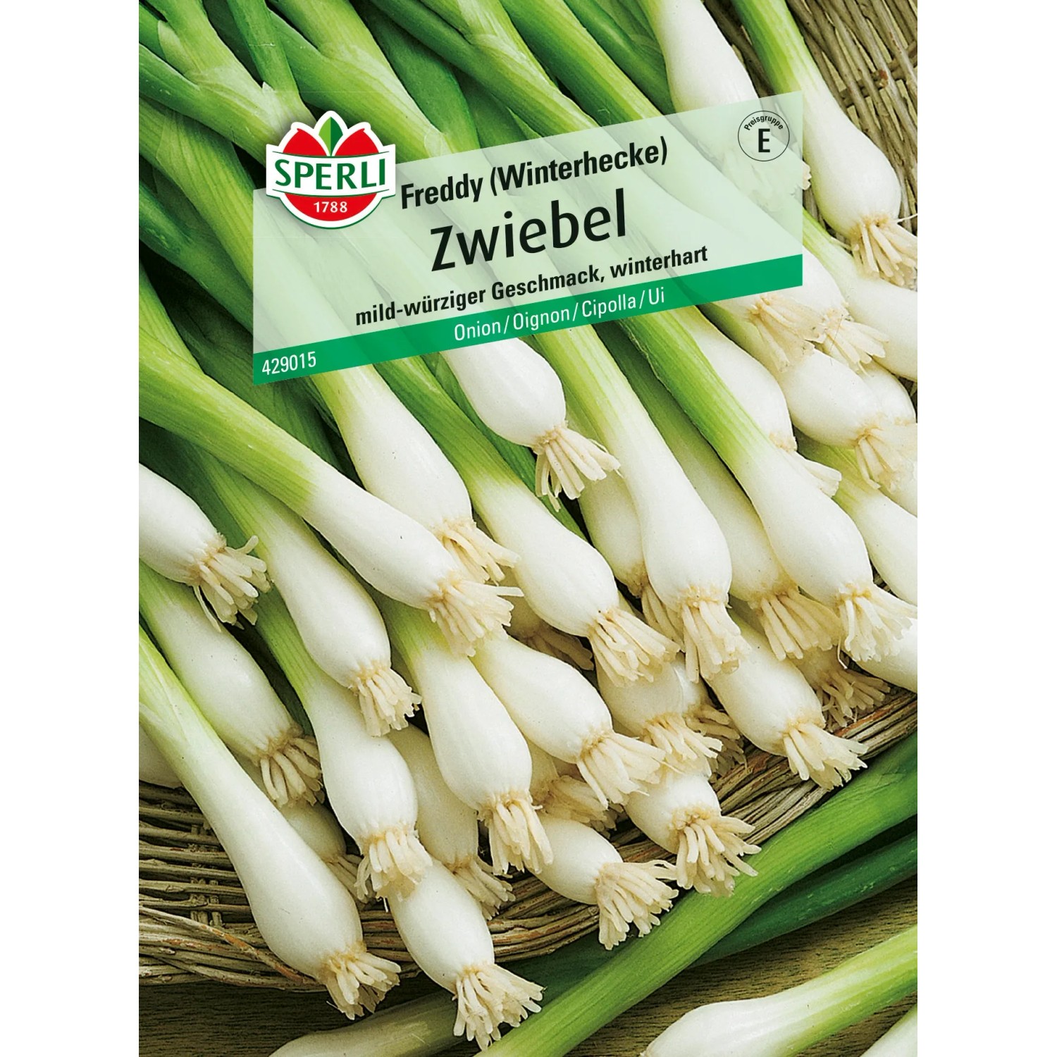 Sperli Zwiebeln "Freddy"