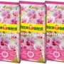 Floragard Orchideenerde, 3 Säcke à 5L, torffreie Spezialerde für Orchideen mit Pinienrinde und Dünger.