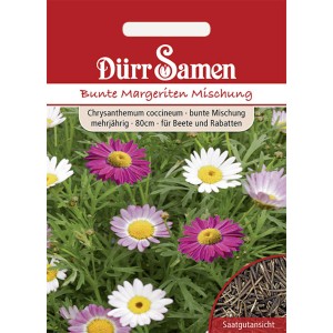Dürr Samen Bunte Margeriten Mischung, mehrjährige Blumensamen für Beet und Rabatten.