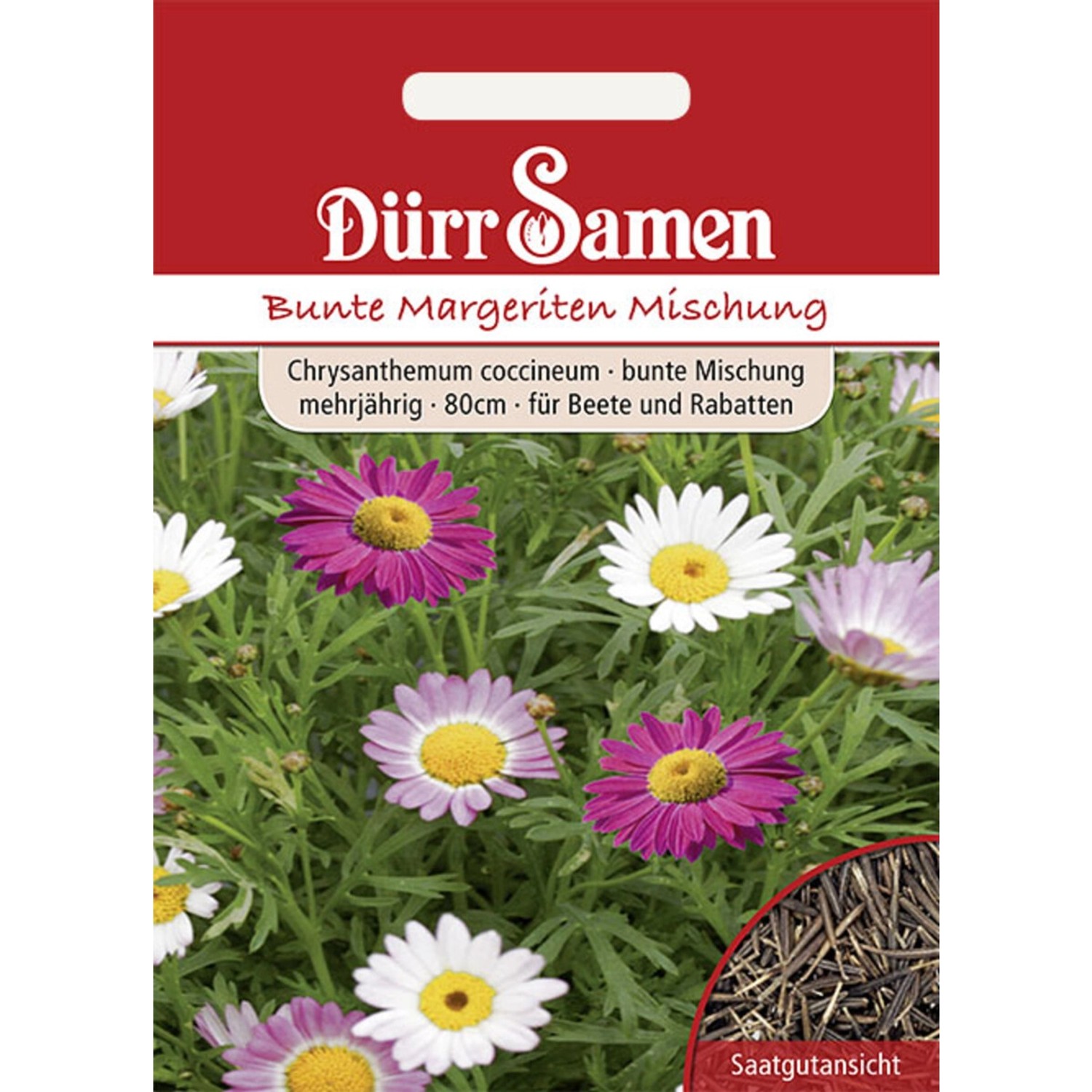 Dürr Samen Bunte Margeriten Bunte Mischungmehrjährig Saatgut günstig online kaufen