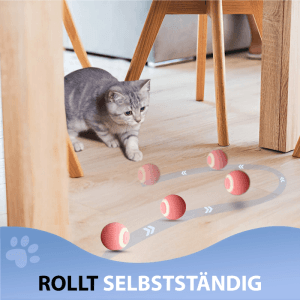 PETSATION Interaktives Katzenspielzeug